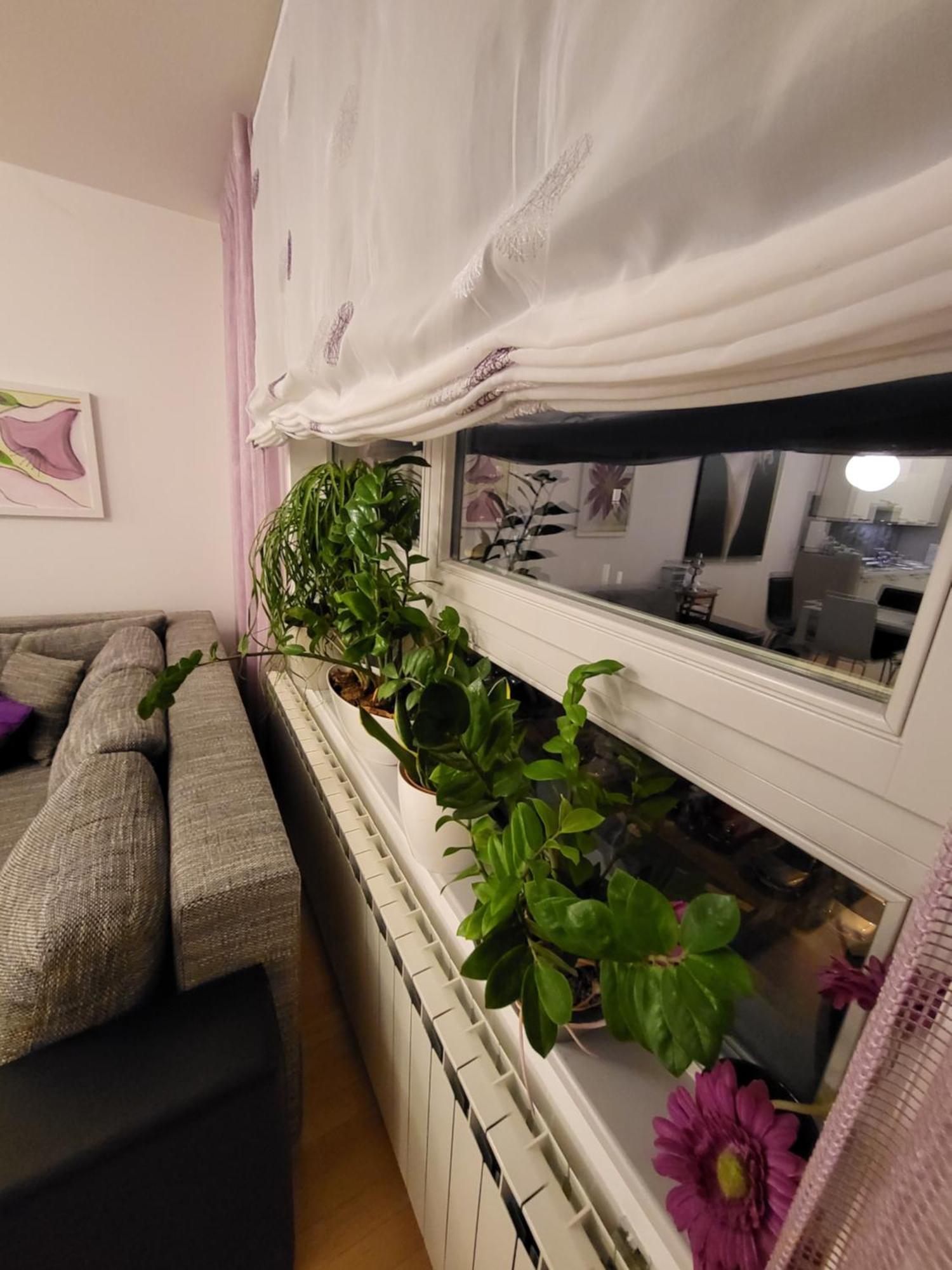 Apartman Jarun Lake Lux Zagreb Extérieur photo