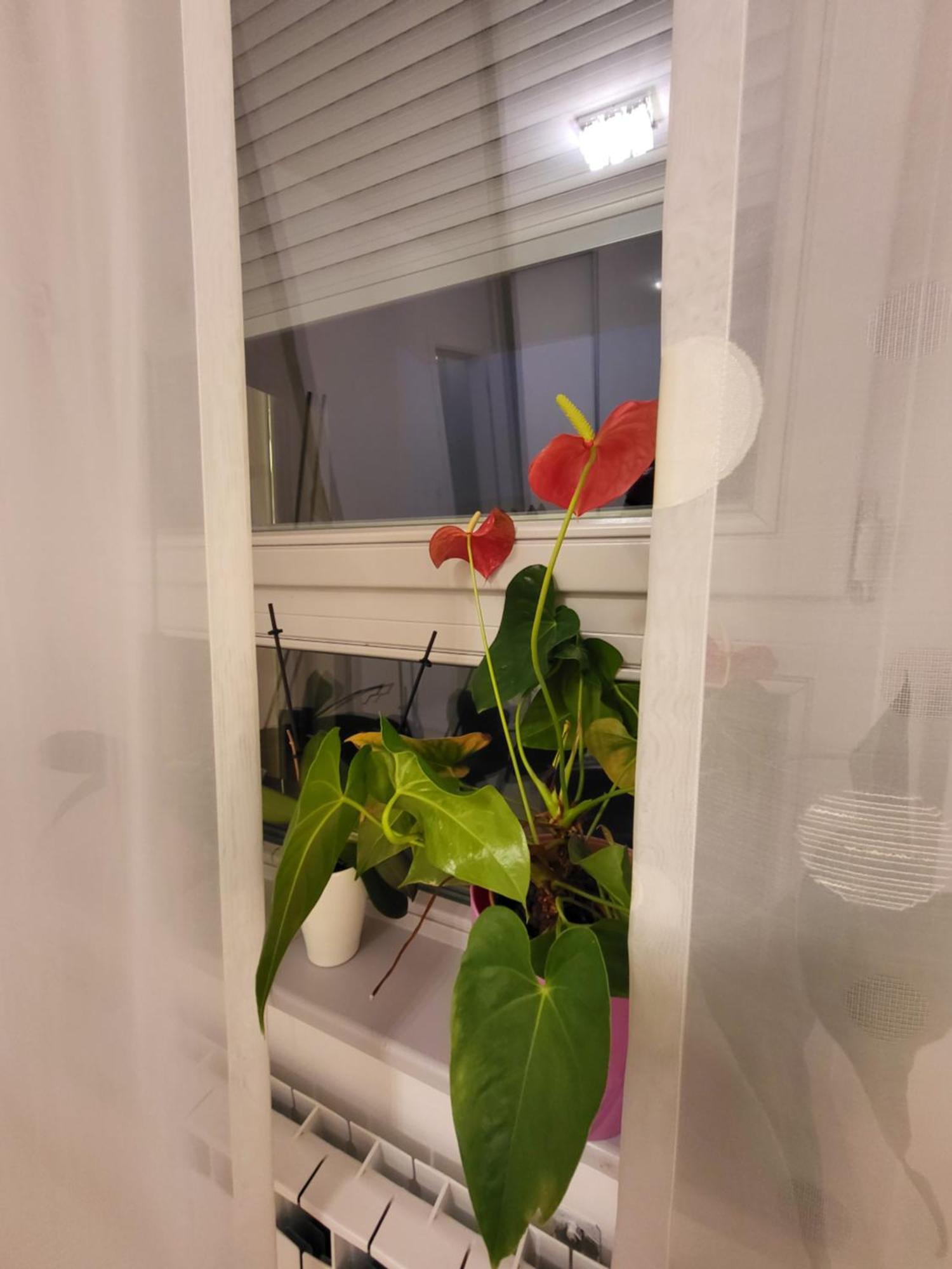 Apartman Jarun Lake Lux Zagreb Extérieur photo